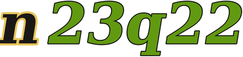 n23q22 logo